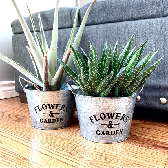 Beautiful set of 2 farmhouse shabby chic planters - Picture 2 of 7